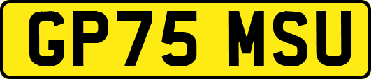 GP75MSU