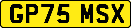 GP75MSX