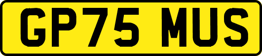 GP75MUS