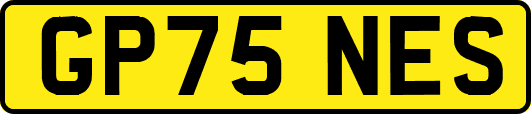 GP75NES