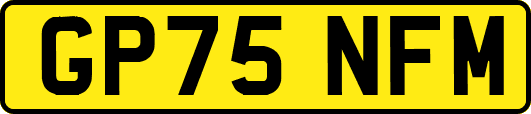 GP75NFM