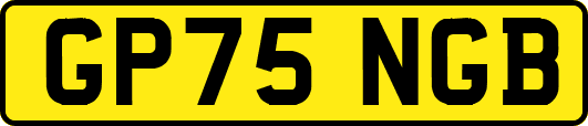 GP75NGB