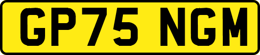 GP75NGM