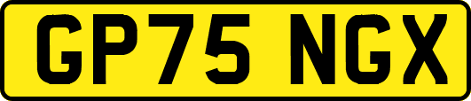 GP75NGX
