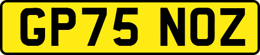 GP75NOZ