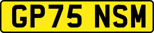 GP75NSM