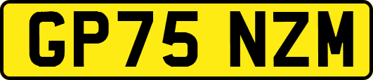 GP75NZM