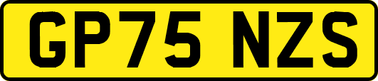 GP75NZS
