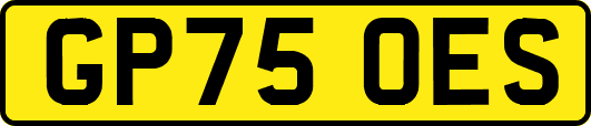 GP75OES