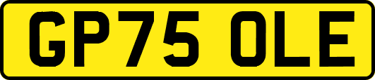 GP75OLE