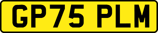 GP75PLM
