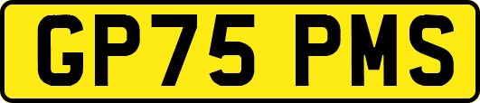GP75PMS