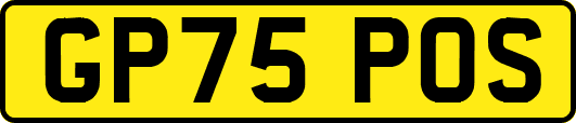 GP75POS