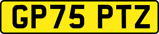 GP75PTZ