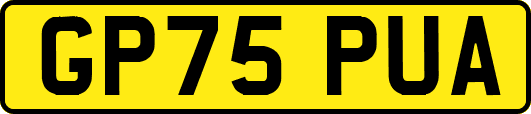 GP75PUA