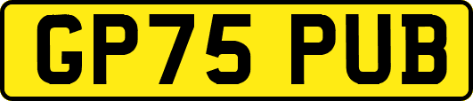 GP75PUB