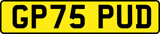 GP75PUD