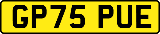 GP75PUE