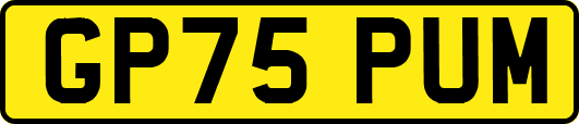 GP75PUM