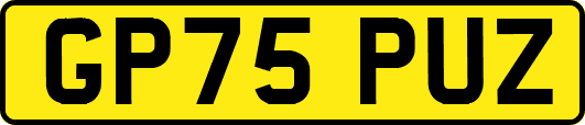 GP75PUZ