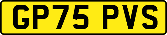 GP75PVS