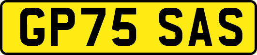GP75SAS