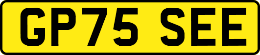GP75SEE