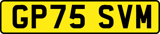 GP75SVM