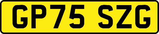 GP75SZG