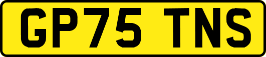 GP75TNS