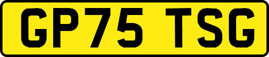 GP75TSG