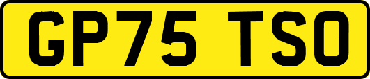 GP75TSO