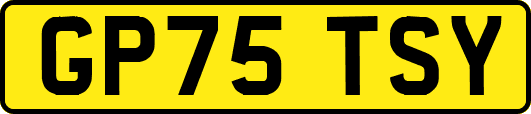 GP75TSY