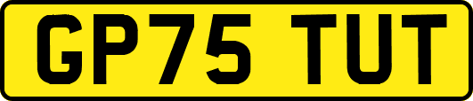 GP75TUT