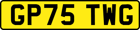 GP75TWG