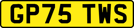 GP75TWS