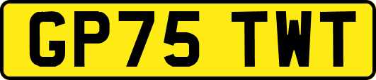 GP75TWT
