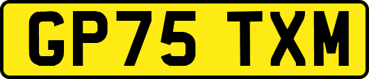 GP75TXM