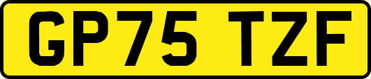 GP75TZF