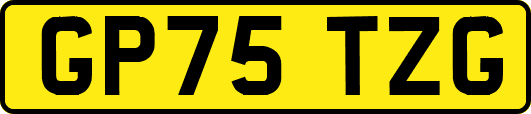 GP75TZG