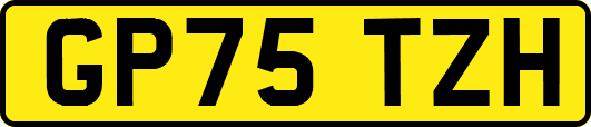 GP75TZH