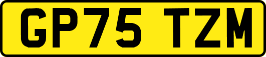 GP75TZM