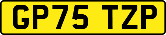 GP75TZP