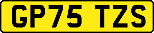 GP75TZS