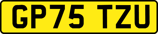 GP75TZU