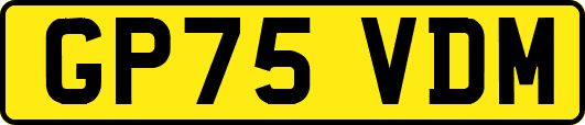 GP75VDM