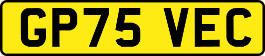 GP75VEC