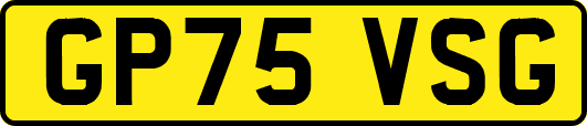 GP75VSG