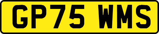 GP75WMS