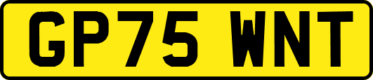 GP75WNT